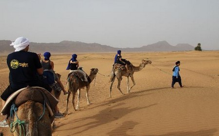 viajes al desierto